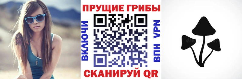 Псилоцибиновые грибы ЛСД  Юрьев-Польский 
